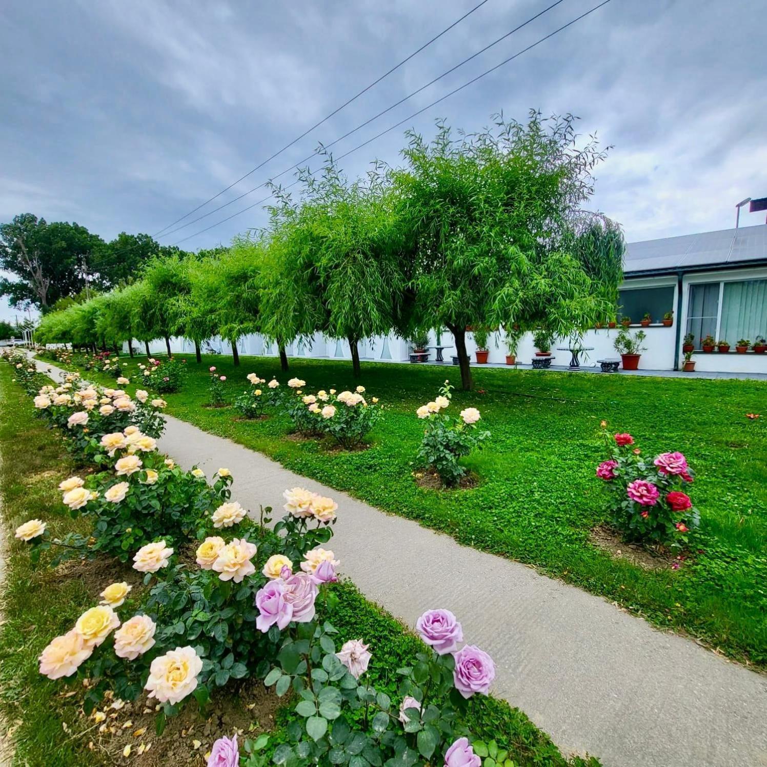 Royal Park Complex Hotel Bascov Exterior photo